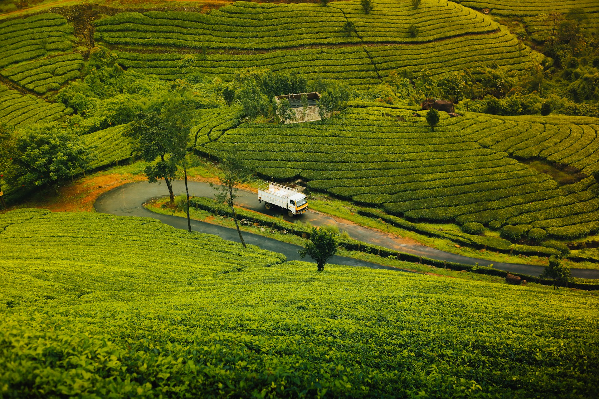Best time to visit Kerala
