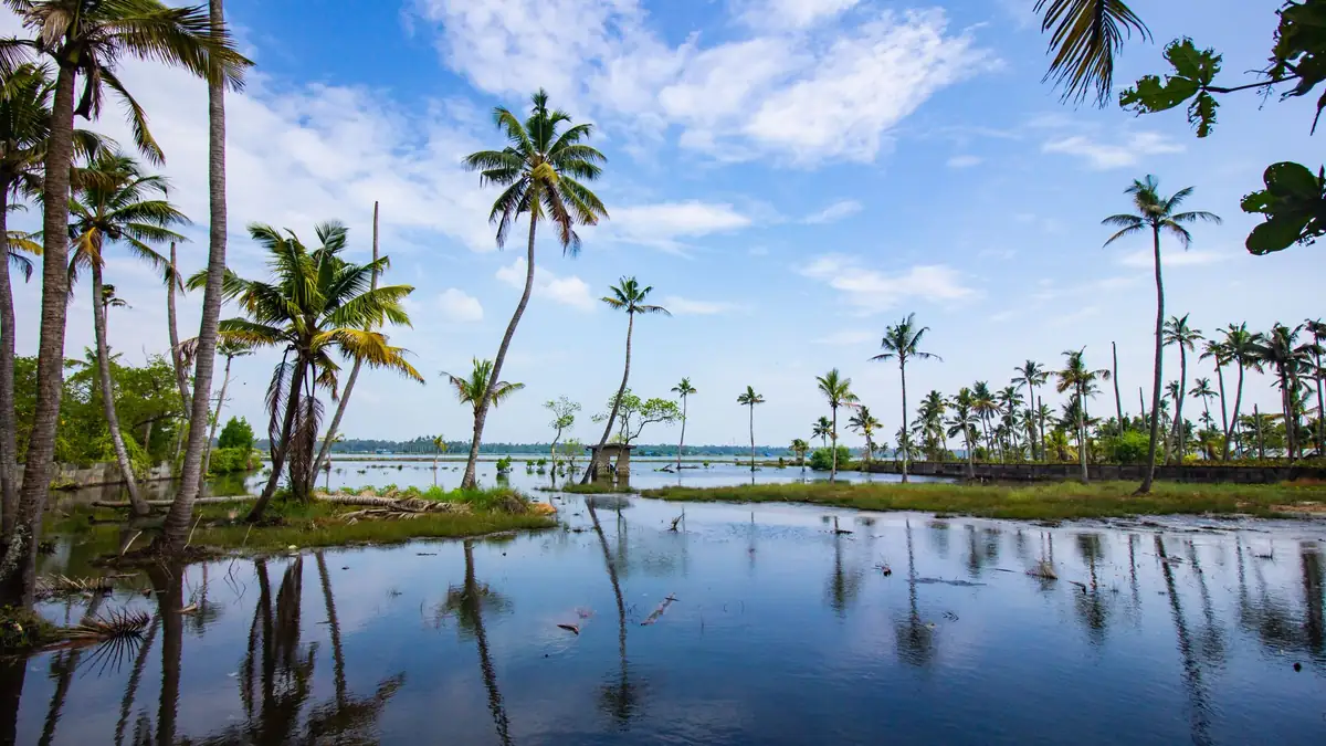Kumarakom, Kerala