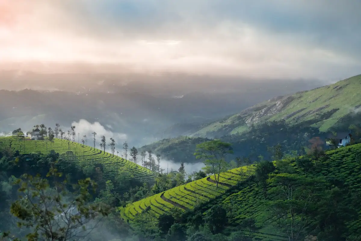 Vagamon, Kerala